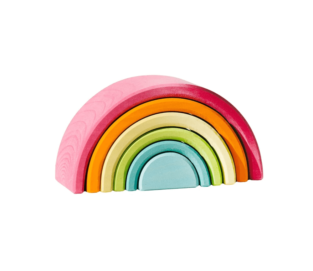 Colorful Toy Storage Organizer with Multiple